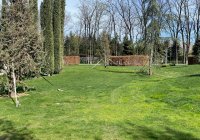 img (4)